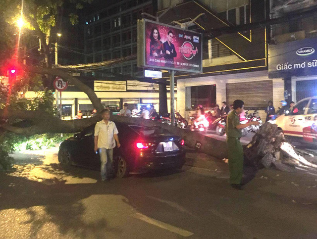 Hiện trường cây xanh đè bẹp ô tô trong đêm.