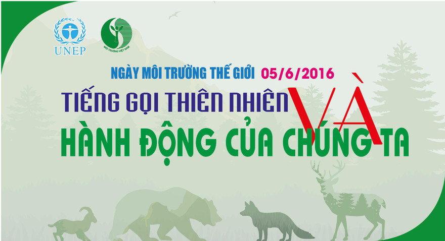 Không mít tinh ngày hưởng ứng Ngày Môi trường thế giới