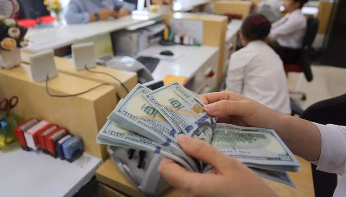 Ngân hàng Nhà nước sẵn sàng bán ngoại tệ can thiệp tỷ giá