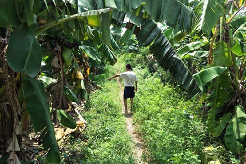 Khu vực được cho là xảy ra sự việc.