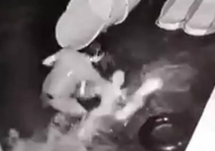 Đối tượng Phạm Chí Linh dìm vợ xuống hồ. Ảnh cắt từ clip