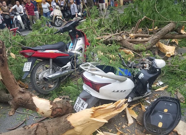 Hiện trường vụ việc.