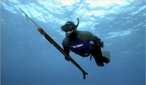 Một thợ săn cầm súng phóng xiên. Ảnh: NYTimes.