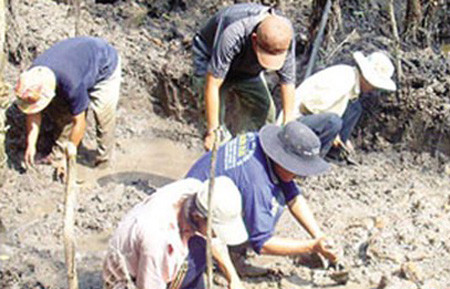 Một cảnh khai quật cổ vật.