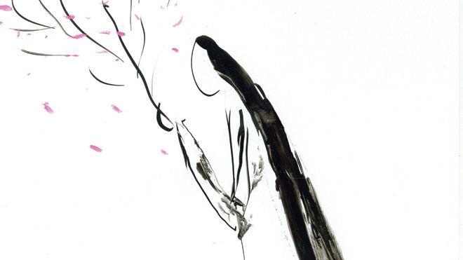  Minh họa: Lê Thiết Cương