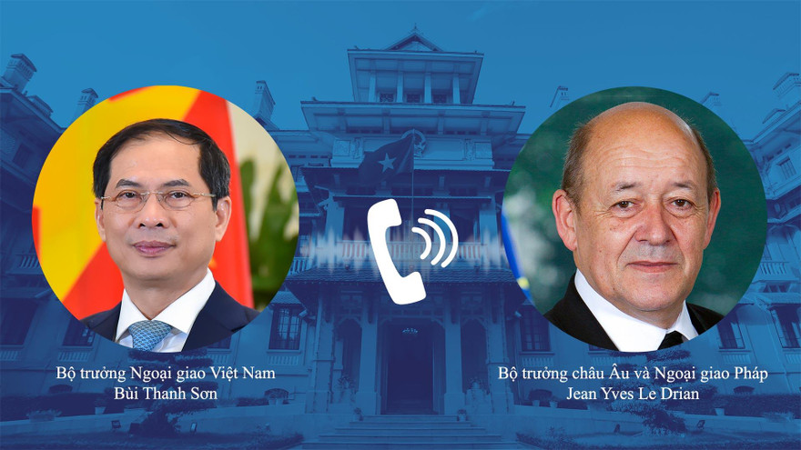 Bộ trưởng Bùi Thanh Sơn và Bộ trưởng châu Âu và Ngoại giao Pháp Jean Yves Le Drian. (Ảnh: Mofa)