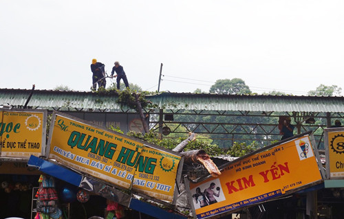 Nhánh cây rỗng ruột đè sập 2 cửa hàng. Ảnh: Sơn Hòa.