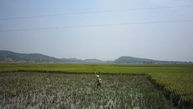 Kích cá bằng điện ắc quy, tiềm ẩn chết người.