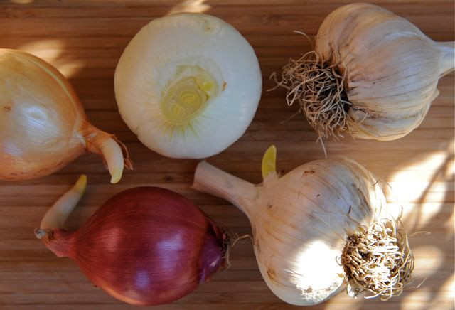 Những thực phẩm màu trắng tốt cho sức khỏe của bạn