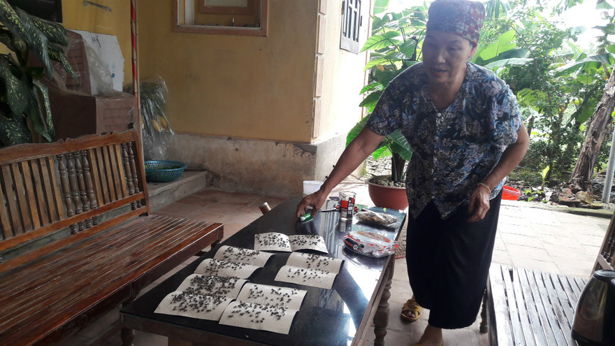 Kinh hãi mảnh đất ruồi nhiều hơn người, đi ngủ phải đeo khẩu trang