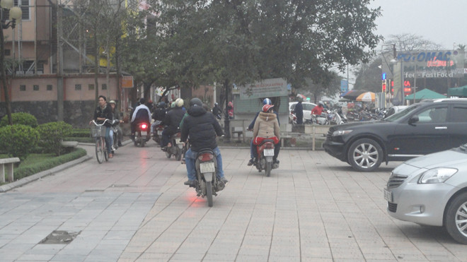 Đường giao thông trong vườn hoa