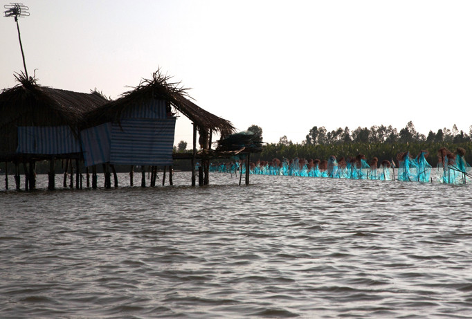 Trả lại hiện trạng tự nhiên Đầm Thị Tường