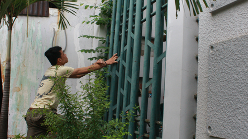 Ảnh minh họa: Internet