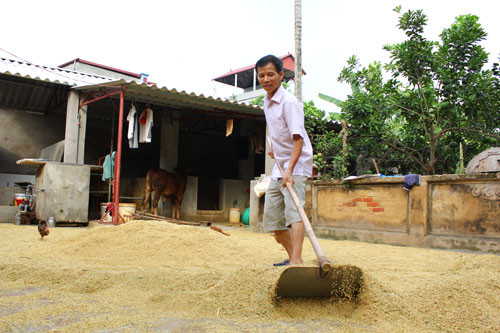 Từ ngày được minh oan, ông Chấn chỉ ở nhà giúp việc vặt cho vợ. Ảnh: Hoàng Phương