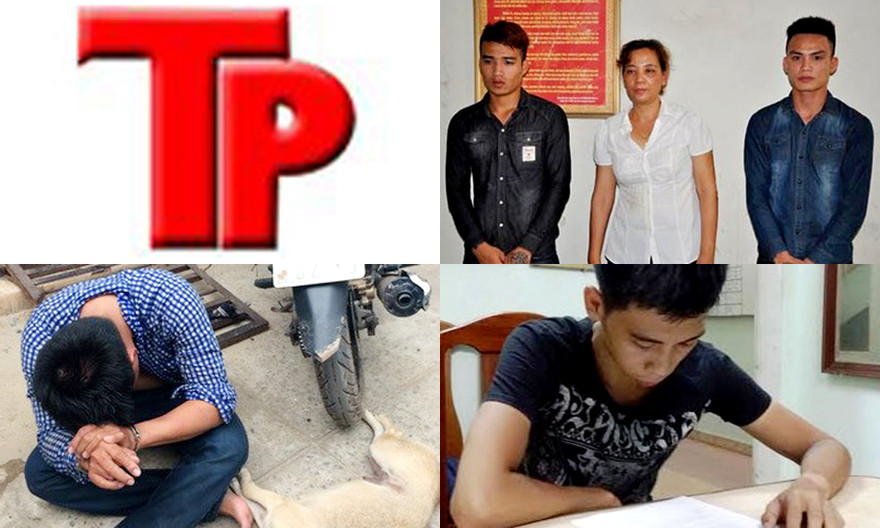 Bản tin Hình sự 18H: ​Trang Trần có thể đối diện mức án 3 năm tù