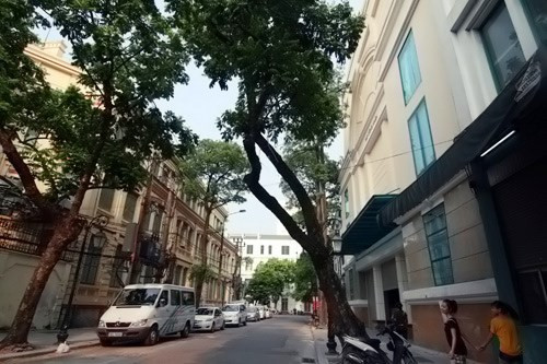 Đất vàng số 9 Đinh Lễ khó tìm chủ mới