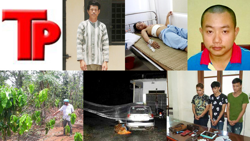 Bản tin Hình sự 18H: Hiếp dâm con gái bạn nhậu ngay tại tiệc rượu