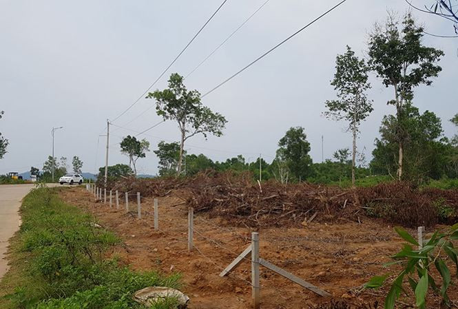 Phó Thủ tướng yêu cầu không để tình trạng “cò đất”, “xã hội đen” mua bán đất lộng hành ở các khu vực lập đặc khu.