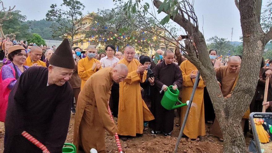 Hàng ngàn cây xanh trong khuôn viên Học viện Phật giáo Việt Nam
