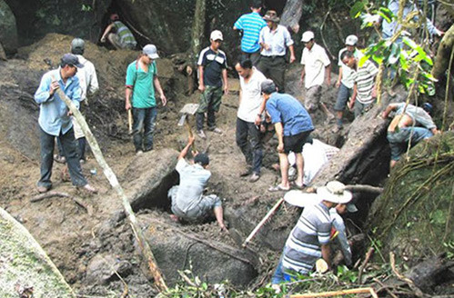 Máu, nước mắt và cuộc chơi săn lộc rừng giá bạc tỷ