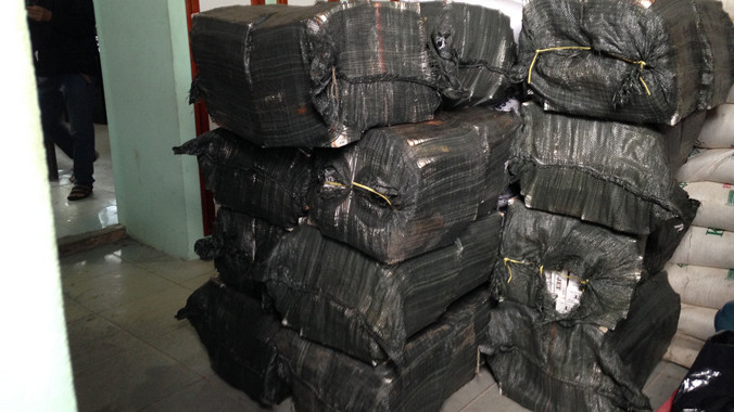 710 cây thuốc thu giữ trên xuồng máy.