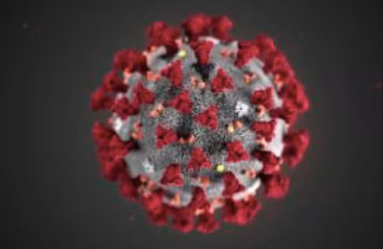 Mỹ có thể đã biết từ rất sớm về nguy cơ xảy ra đại dịch virus corona