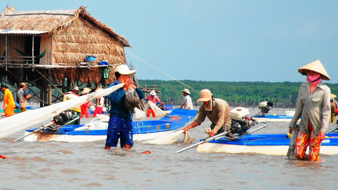 Người dân khai thác nghêu thủ công, không gây ô nhiễm môi trường.