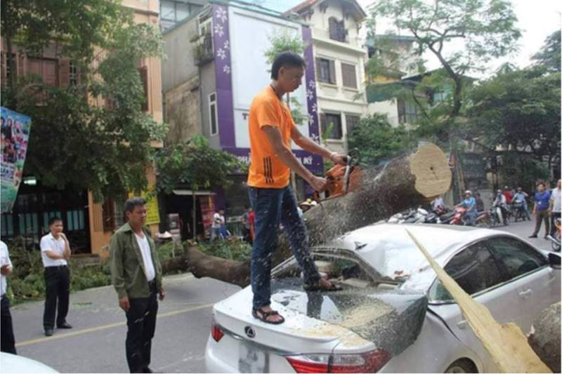 Cty Công viên Cây xanh tự ý cho người treo lên ô tô cưa, chặt cây đỗ khi chưa làm biên bản ghi nhận hiện trường. Ảnh người dân chụp lại