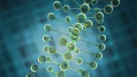 Con người chỉ sử dụng 8% ADN