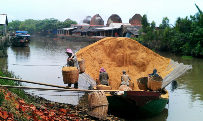 Người trồng lúa sẽ tăng thu nhập từ việc bán vỏ trấu.