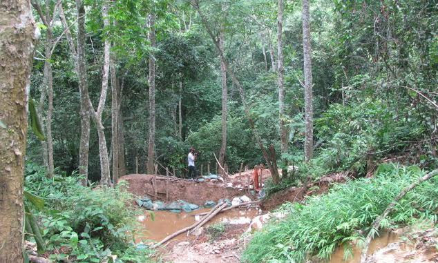 Khai thác vàng trái phép tại bản Kịt làm tan hoang cánh rừng. Ảnh: Hoàng Lam