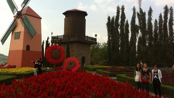 Ngẫm ngợi ở trang trại nho