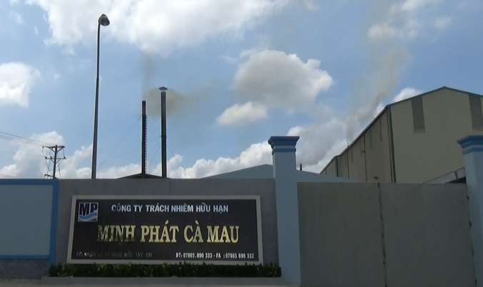 Nhiều nhà máy chế biến thủy sản vi phạm về môi trường