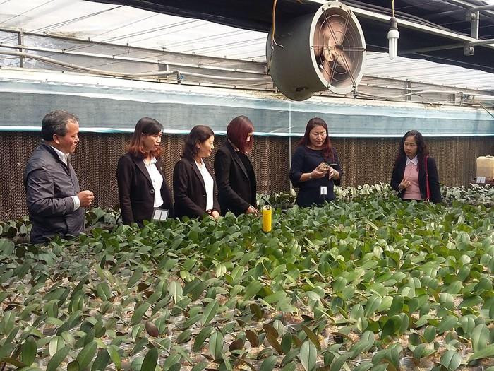 HTX Đan Hoài (Đan Phượng) một trong những mô hình nông nghiệp cao điển hình của thành phố.