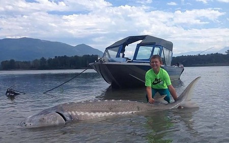 Bé 9 tuổi câu được cá nặng hơn 270kg