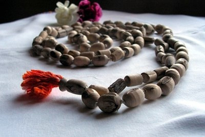 Năm nay ngành công nghệ thế giới sẽ gặp những gì?