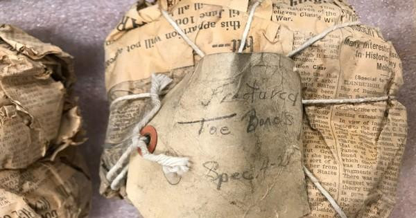 20 gói giấy báo kèm ghi chú bằng bút chì là những báu vật cổ sinh vật học thực sự - Ảnh: Clive Coy