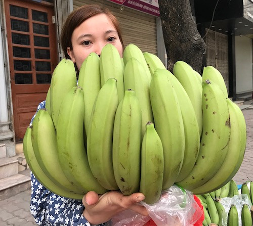 Chuối xanh lẻ quả được rao bán 12.000-18.000 đồng một quả.