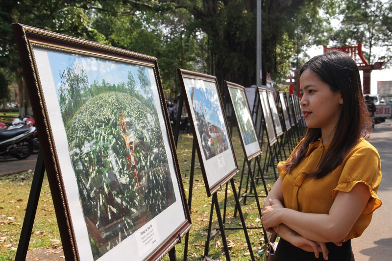 Du khách tham quan triển lãm ảnh chiến thắng Buôn Ma Thuột