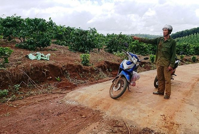 Đường bê tông “nắn” đến rẫy ông Hạnh rồi dừng. Ảnh Vũ Long.