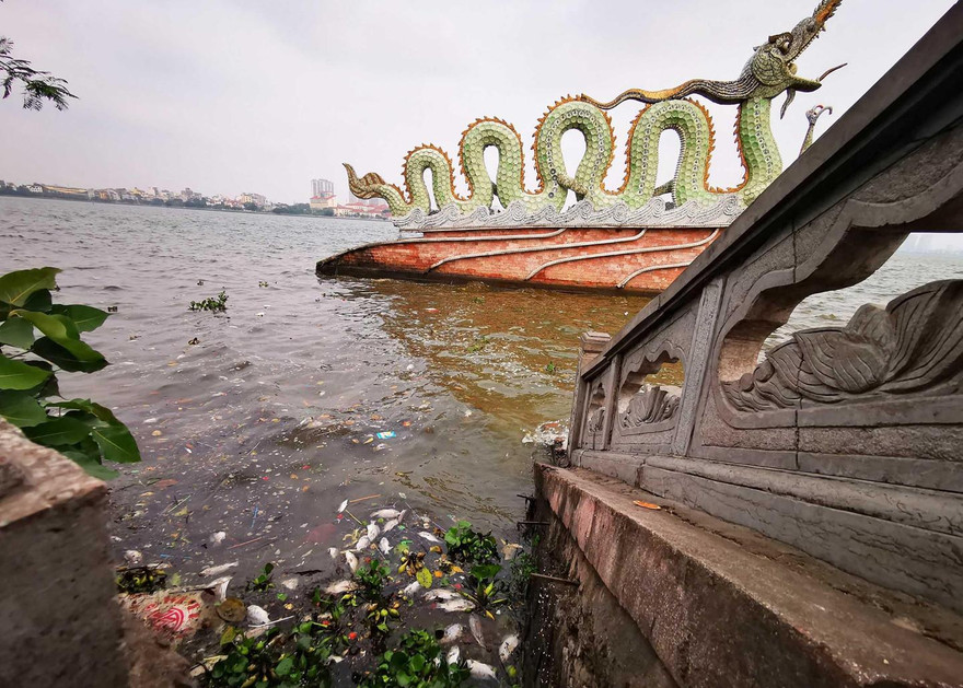 Cá chết trôi dạt ven bờ Hồ Tây sáng 8/4. Ảnh: Zing