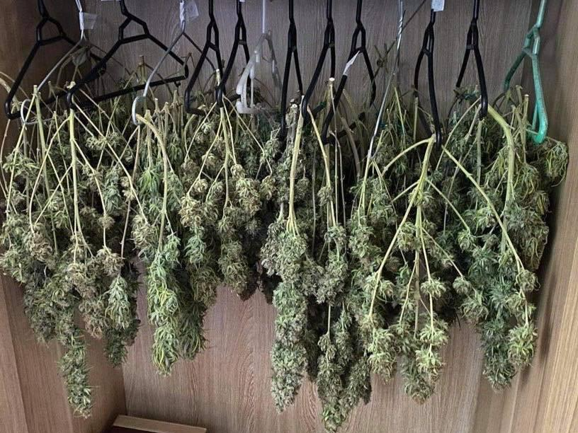 Cần sa phát hiện trong nhà đối tượng.