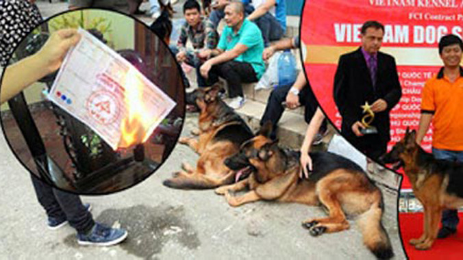 Một chiếc giấy chứng nhận nguồn gốc của chó làm giả được người chơi phát hiện.