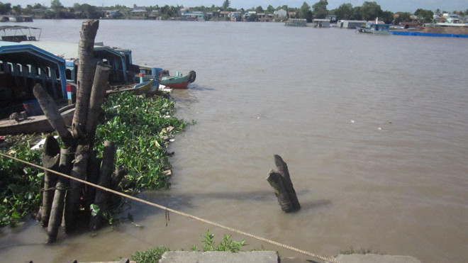 Hiện trường nơi phát hiện xác chết trôi.