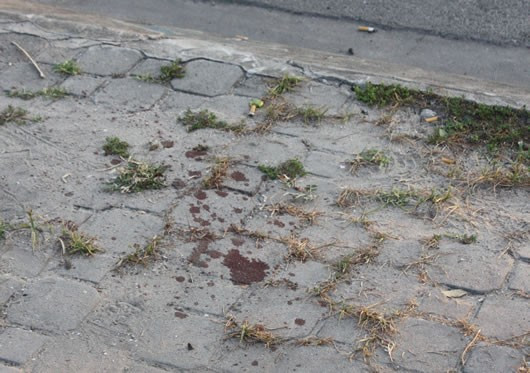 Hiện trường vụ án