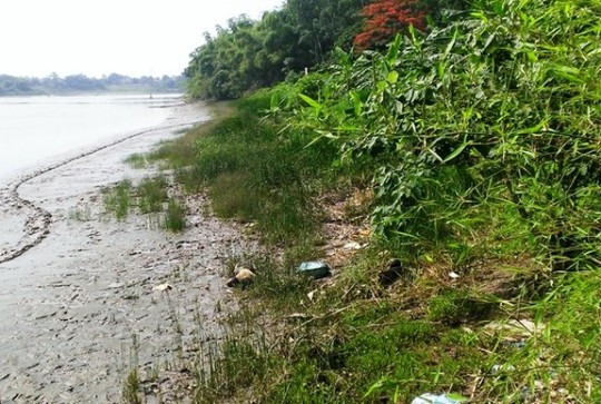 Xác chết người đàn ông đã phân hủy trôi dạt vào bờ sông Mã