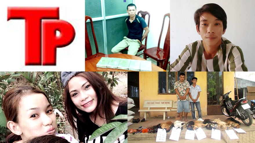 Bản tin Hình sự 18H: Tử vong vì món nộm lá ngón của vợ