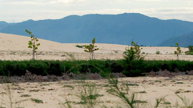 Nhiều dự án du lịch ở Khu kinh tế Nhơn Hội chậm tiến độ. Ảnh:Trí Tín.