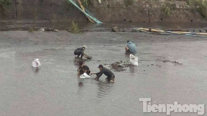 Dân ngụp suối vớt than bất chấp nguy hiểm 