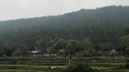 Rừng phòng hộ núi Ngang có bị xoá sổ bởi nghĩa trang? 